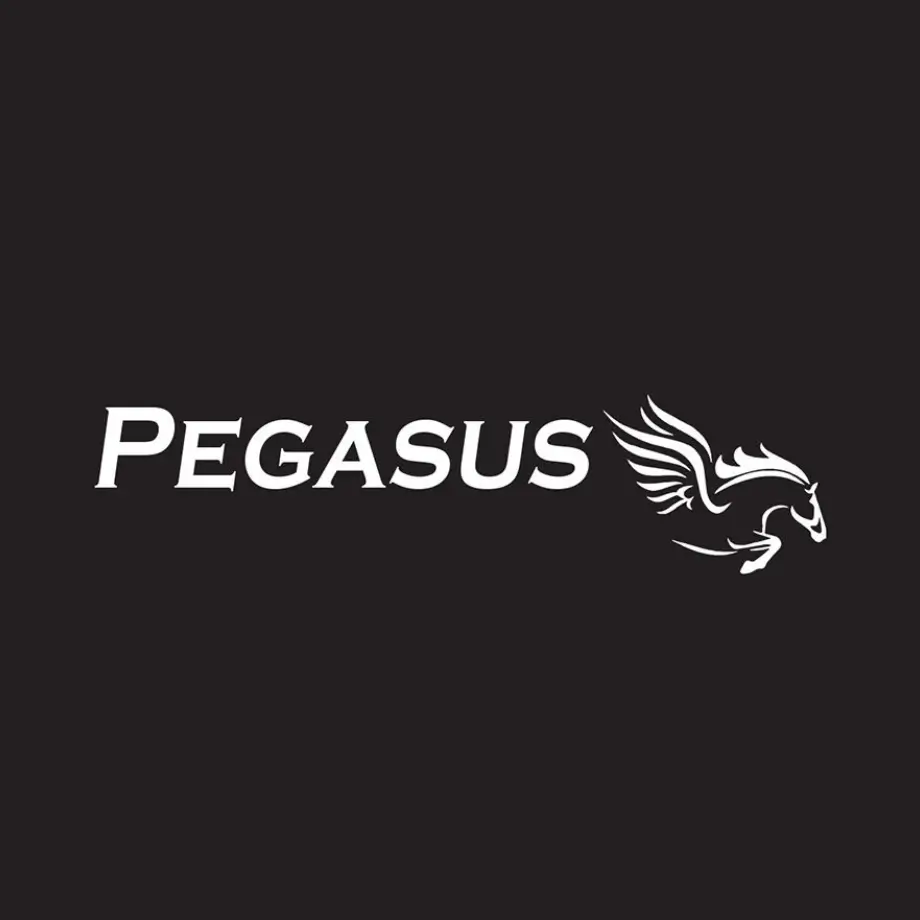 Pegasus Logo